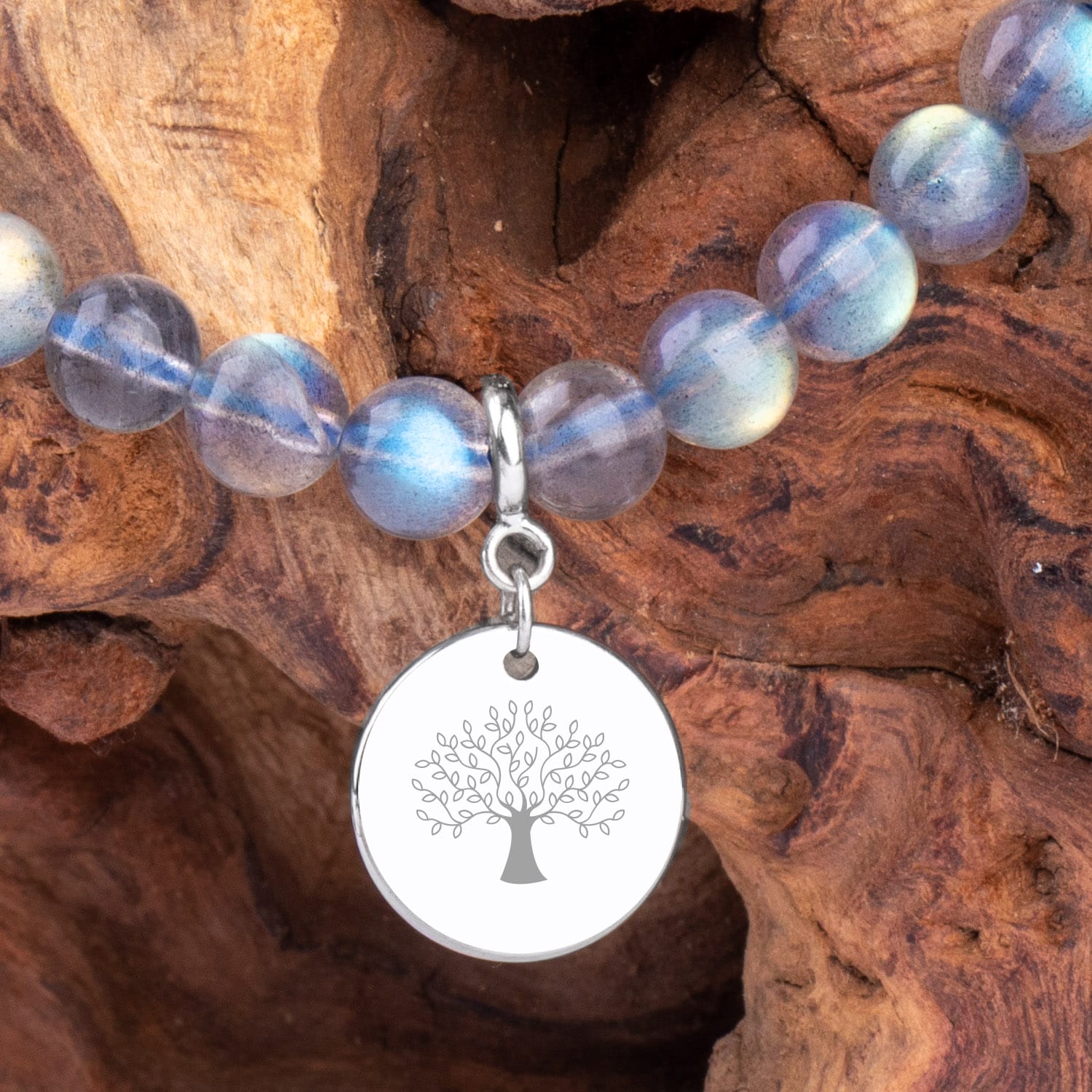 pcwc simple product 02 - Image 2